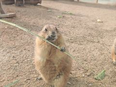 -祥源·阜阳生态乐园