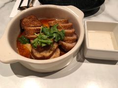 -MR鹅外