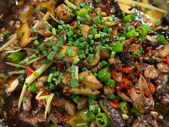 -食神又名厕所兔