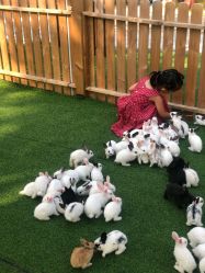 -萌宠亲子动物乐园(槐房万达店)