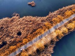 -野鸭湖国家湿地公园