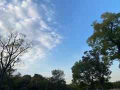 -上海吴淞炮台湾国家湿地公园