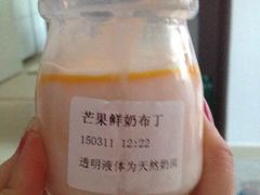 青豆家奶酪店-功夫酸奶酪