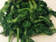 清炒豌豆尖-106餐厅(山水文园店)