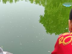 -朝阳公园游乐园