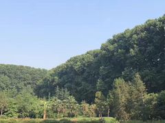 -河南省黄河迎宾馆
