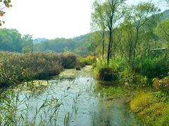 -西湖风景区-江洋畈生态公园