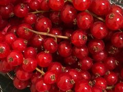 -Pam local Roma XX Settembre