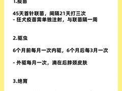 -翊宠yipet猫狗购宠庄园犬舍•猫舍