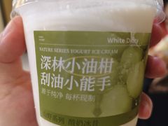 -白色日记·手作酸奶(万象城店)