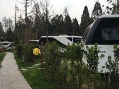 -崇明东平国家森林公园烧烤房车露营地