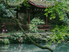 -虎跑公园