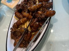 -海派美食·家宴海鲜青岛菜·石锅鲽鱼头(东方城店)