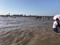 -南汇嘴观海公园