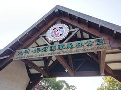 -上海海湾国家森林公园