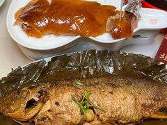 -小吊梨汤·北京菜·烤鸭(鸟巢店)