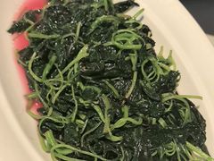 -芙蓉堂(武汉天地店)