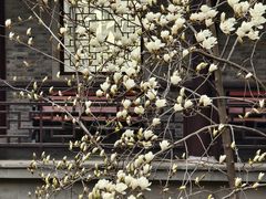 -苏皖边区政府旧址纪念馆