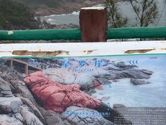 -广东惠东海龟国家级自然保护区