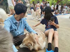 -TrueLove @ Neverland (Husky Cafe)