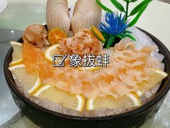 -高佳庄·海鲜酒楼(东港店)
