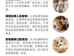 -申普宠物医院·心脏介入·心血管微创(总院)