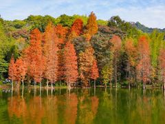 -广州市白云山风景名胜区