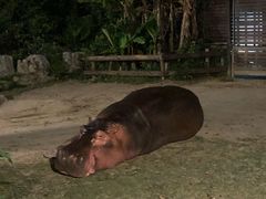 -野生动物园-停车场