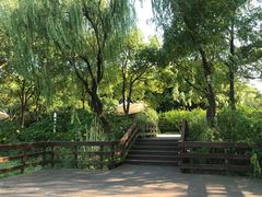 -新江湾城公园