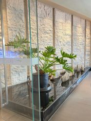 -VELEE·SPA高定疗愈会所