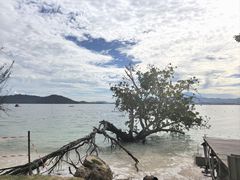 -东姑阿都拉曼海洋公园