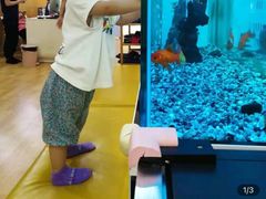 -澳洲袋鼠早教(金辉环球广场店)