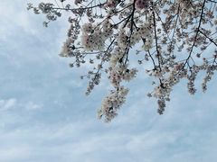 -龙美术馆(西岸馆)