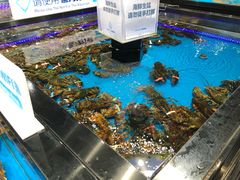 -盒马鲜生(联投广场店)