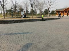 -东郊湿地公园