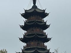 -龙华素斋(龙华路店)