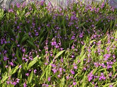 -上海交通大学(闵行校区)