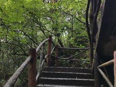 -白云源风景区