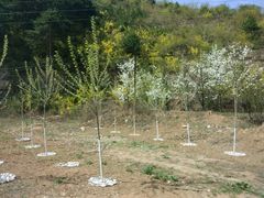 -山西通天峡景区