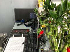 -田凤波推拿.按摩养生(幸福店)