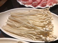 -陈府大宅门成都火锅·手切鲜肉(太原街店)