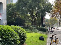 -证大大拇指广场(芳甸路店)