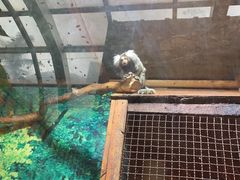 -上海大自然野生昆虫馆(东方明珠·爬宠昆虫探索中心)