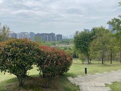 -牛岗山公园