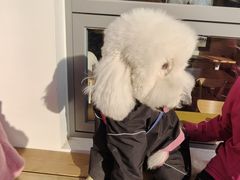 -小意思咖啡店(草桥店)