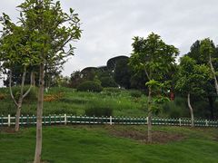 -铁山坪森林公园