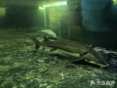 -泉州海丝野生动物世界