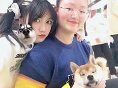 -逗柴咖啡屋·狗咖猫咖宠物桌游