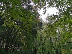 -西安市长乐公园