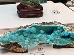 -湖南省地质博物馆